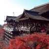 Tranquil Temples and Gorgeous Gardens of Kyoto