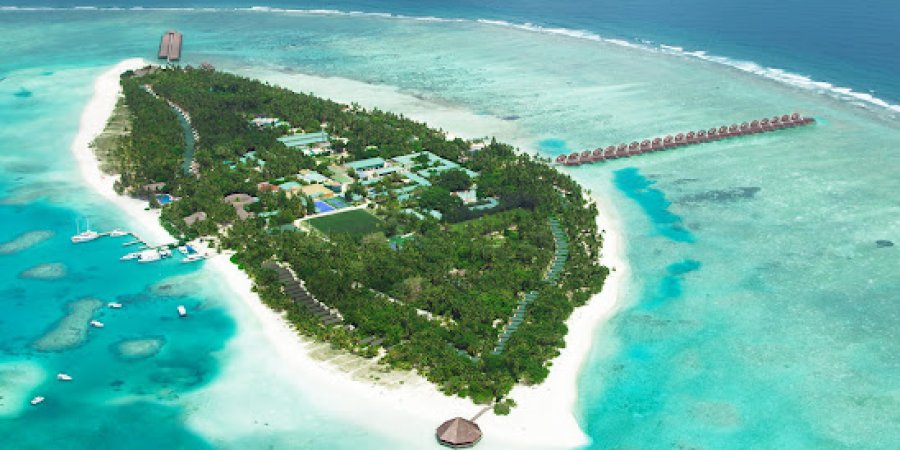 WIOTTO interview – Maldives is the best solution for holidays