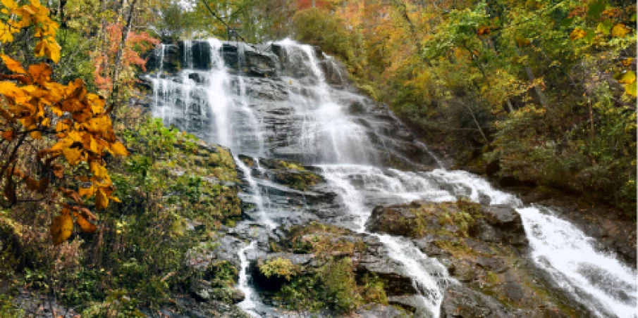 Amicalola Falls State Park