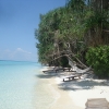 Lankayan Island Borneo: A Divers Paradise