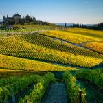Delightful Chianti: Small Towns, Fine Wine, and Vineyards