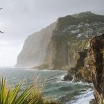 Exploring Madeira, Portugal: Discover the Wonders of This Enchanting Island