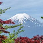 Teaching English in Japan: A Life-Changing Experience